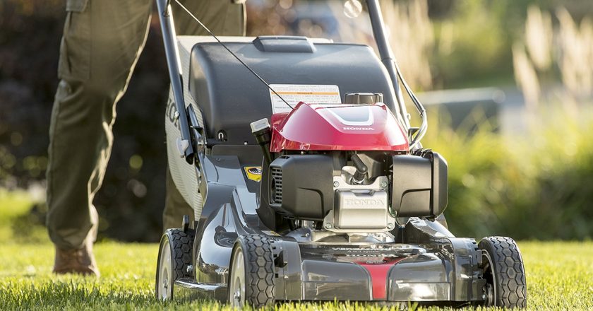 Quelle tondeuse thermique choisir : guide complet pour un jardin parfait