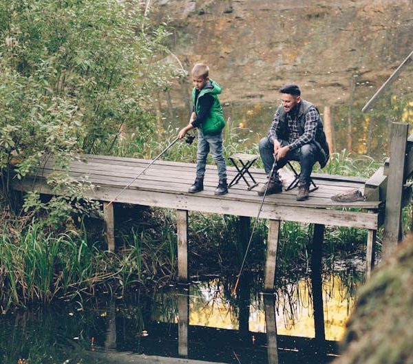 Construire son etang : Transformez votre jardin en oasis naturelle